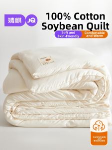 JoynCleon | Machine Washable All-Season Warm Quilt
