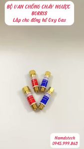 Bộ van chống cháy ngược BORRIS lắp cho Đồng hồ Oxy Gas 188
