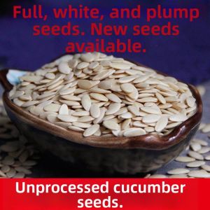 Raw and Roasted Cucumber Seed Powder 500g