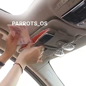 Car Sun Visor PU Leather Storage Bag Organizer with Zipper Card Pen Holder Sunglasses Clip Driving License Sunvisor Pocket 汽车遮阳板卡片夹