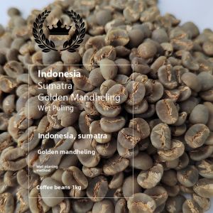 Indonesia Premium Coffee Green Beans Sumatra Gold Mandheling Aromatic Arabica Coffee Beans New Harvest Season Unroasted