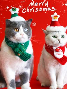Pet Knitted Christmas Scarf Cat Dog Wool Cartoon Elk Snowman Warm Plush Hat Set Cute