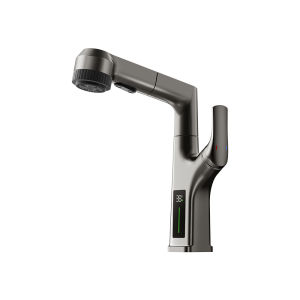 TAOGU | Adjustable Pull-Out Basin Faucet