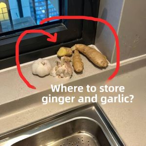 Wall-Mounted Garlic And Ginger Storage Box Hole-Free Onion Saver Pipe Cleaning Stick Holder Kitchen Organizer Essential Tool