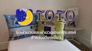 Toto ผ้านวมเอนกประสงค์ (ไม่รวมผ้าปูที่นอน) พิมพ์ลาย กราฟฟิก Graphic Print TT497 (เลือกขนาดผ้านวม) #โตโต้ ผ้าห่ม ผ้านวม