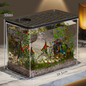 MUGG | Mini Ecological Landscape Aquarium