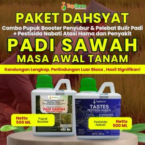 Pupuk Topfarm & Padi Sawah: Cara Optimal Meningkatkan Hasil Panen
