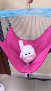 PAPAPET Pet Hammock / Portable Cat and Dog Hammock / Cat Hammock / Hanging