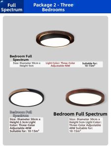 PAIMIJI | Eye-Care Modern Simple Ceiling Light