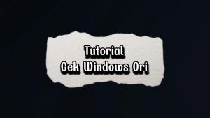 Win 11 Pro Original Licence Key RETAIL / OEM Permanen Microsoft Windows Genuine Lifetime