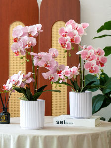 ดอกไม้เทียมมุกปีกผีเสื้อสไตล์จีนใหม่ ช่อดอกไม้ปลอมในตู้ไม้ไผ่สำหรับตกแต่งบ้าน ดอกไม้แห้งพลาสติกสำหรับตกแต่งโต๊ะทำงาน