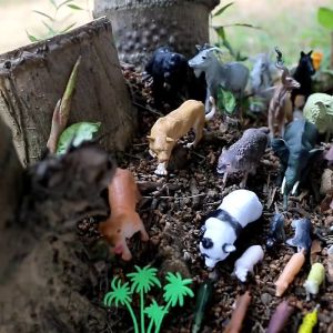 儿童科教 塑料仿真软胶 恐龙动物 模型摆件 (58 Pcs) Animals Toy 儿童玩具模型 动物玩具模型