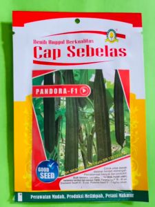 Benih gambas oyong PANDORA F1 isi 10gr dari CAP SEBELAS terbaik
