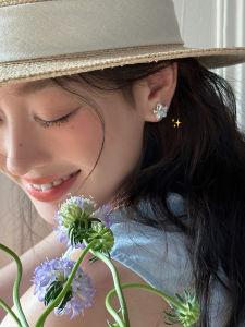 Elegant Silver Needle Star Ear Studs Forest System Super Fairy Tale Cold Sensation High End Ear Jewelry New 2025 Fashion