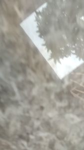 JERSEY PERSIB 23/24 FREE NAMASET