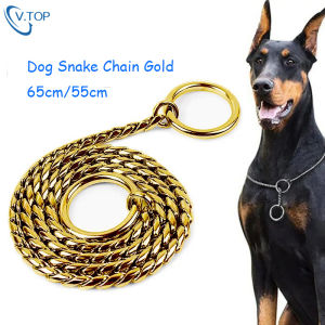 V.TOP Dog Snake Chain Gold Training Choke Collar Kalung Tali Leher Rantai Anjing