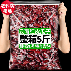 New Products of the Academy of Agricultural Sciences Yunnan Red Skin Sunflower Seeds Plateau Specialty Raw Sunflower Seeds Original Flavor Casual Snacks for the New Year Nuts