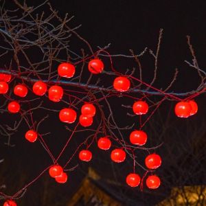 No Brand | Christmas Atmosphere LED Light String Solar Powered Waterproof