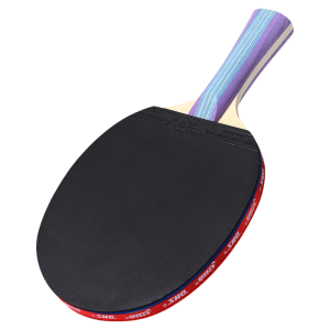 DHS | Beginner Friendly Ping Pong Racket
