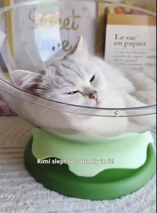 Cat Bed Space Capsule Transparent Cat Nest All Seasons Cat Sofa Detachable Cat Hammock Furniture Bed