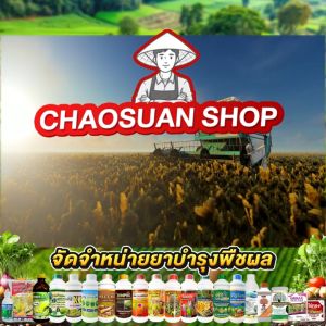 มันส์บิ๊ก 1 ลิตร สูตรเด็ดพิชิตหัวมัน อาหารเสริมพืช เร่งโต ลงหัว เพิ่มน้ำหนัก เพิ่มเปอร์เซ็นต์แป้ง หัวมันใหญ่ น้ำหนักดี