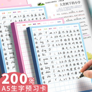 Large Size Self-Adhesive Chinese Character Study Cards Grade One Students Pre-Learning Tools Blank Grid Cards for Practice