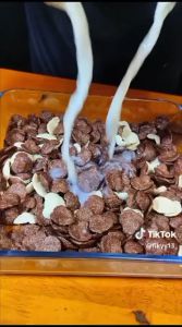 SEREAL COKLAT COCO CHIPS CRUNCH 200 GRAM FUN CORNER DENGAN PAKING AMAN