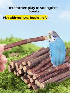 VOA | Entertainment Chewing Stick For Birds