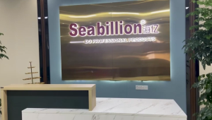 Seabillion Aqua Pump Submersible Water Pump