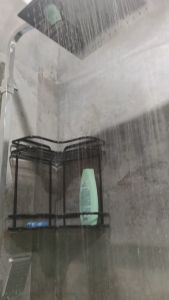 SEN TẮM CÂY NHẬP KHẨU NGA CAO CẤP GAPPO G2418