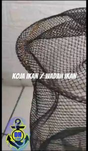 Koja Korang wadah tempat ikan hasil tangkap siap pakai