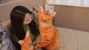 3D Cat Pillow 3D-Printed Pet Dog Cat Plush Cushion Stuffed Animal Pillow for Sofa Bed Decor Birthday Gift