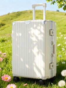 MANLVSHI | Ultra-light Carry-on Password Lock Suitcase