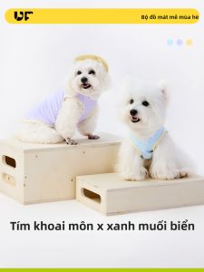 UF.Bemo | Áo Thun Không T Tay Cho Chó Thông Gió