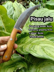 pisau serut Jalu