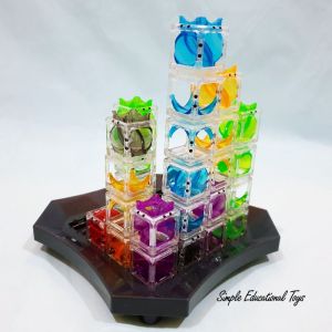 Gravity Maze Logic Game Maze Escape Brainteaser Educational Game
