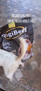 1kg Dogi Beef Pet Dry Food All Stages Adult Puppy Complete Balanced Nutrition Healthy Coat Care