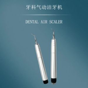 NICEDEN Dental Ultrasonic Air Scaler with 3 Tips Tooth Calculus Remover Cleaning 2/4 Holes Hand piece Whiten Tooth Cleaner Dentist Lab