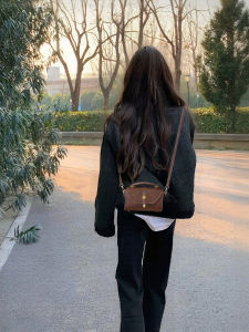 Trendy Cafe Brown Small Square Womens Bag 2025 New High-End Luxury Mini Crossbody Bag Elegant Fashionable Ladies Purse