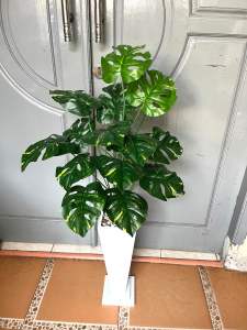 Pohon artificial pohon monstera latex premium tinggi 110cm tanaman sintesis tanaman dekorasi rumah  monstera berikut pot kayu