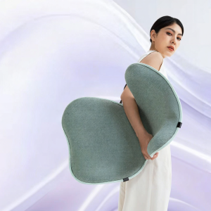 D.BOSHI | Elderly-friendly Lumbar Support Cushion for Disc Herniation and Strain Alleviation