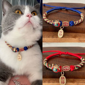 Customizable Pet Name Tag Necklace for Cats And Dogs Metal Decorative Collar with Engraved Name Brand Pet Accessories