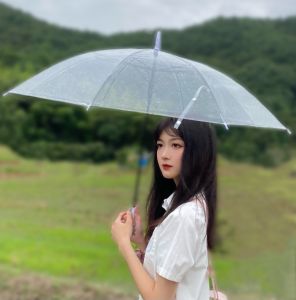 Loopy Transparent Umbrella Long Handle Little Beaver Foldable Good-looking Cute Kids Only for Pupils Girl Ruby
