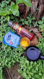 Pro Booster pleci Juara Metabolis Dosis Tinggi Vitamin doping untuk mendongkrak emosi dan birahi