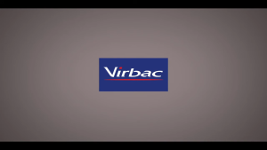 Virbac Nutri-Plus Gel - 120g Energy Gel for Dogs and Cats New Packaging Guaranteed Authentic