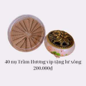[MIỄN PHÍ GIAO HÀNG và Tặng lư xông ] Nhang nụ trầm hương vip