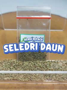 Benih Seledri Daun Unggulan berkualitas biji bibit hydroponik hidroponik sayuran tanaman sayur selederi