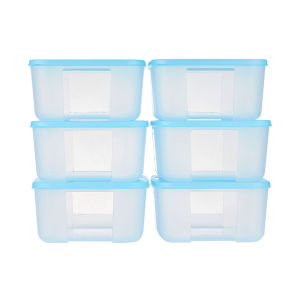 Tupperware | Large Capacity Food-Grade Freshness Box