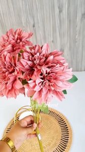 Bunga Dahlia Anemone Super Jumbo: Dekorasi & Taman