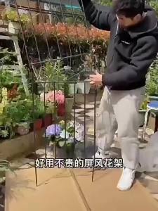 Outdoor Climbing Support Iron Plant Bracket